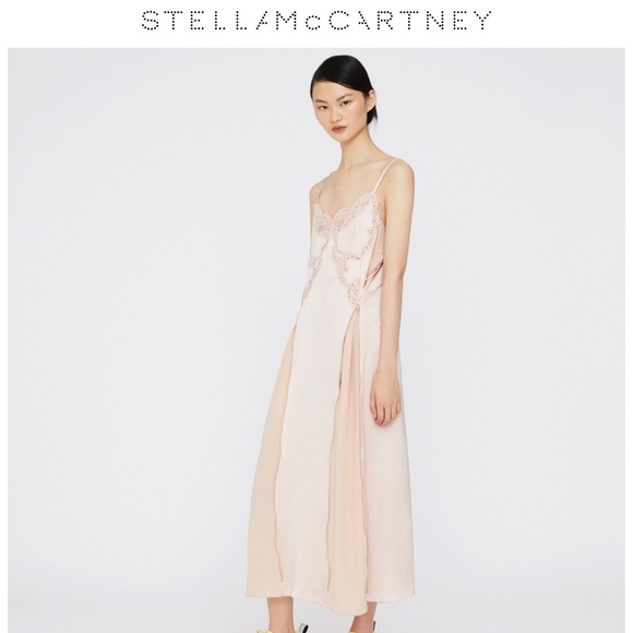 Stella McCartney Dresses & Skirts - Stella McCartney Shiela Lace & Silk Slip Dress NWT